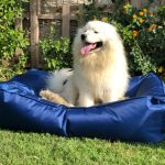 Pets Bedding