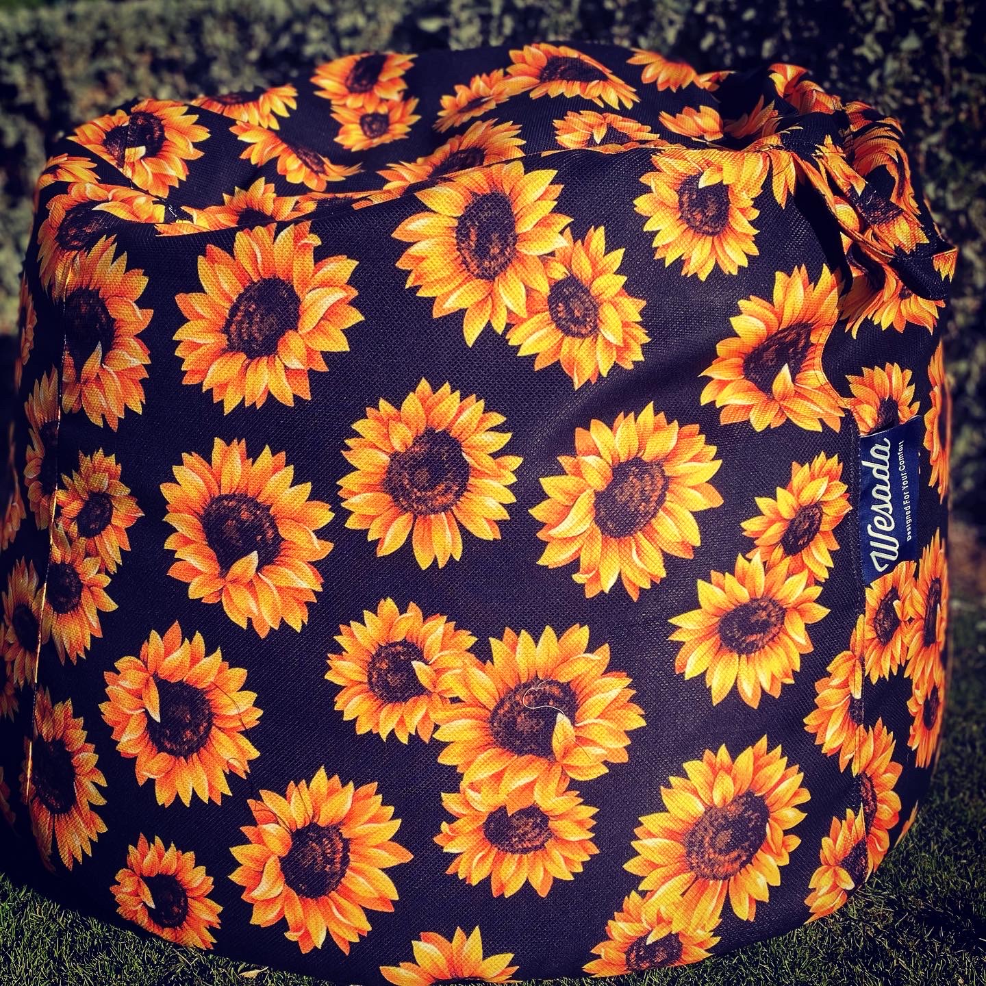 73C904D0-4498-4CA0-A302-8344D2ABE508 Printed Beanbag(Sunflower) - Image 1